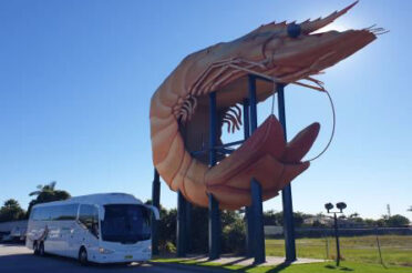 NORTHERN DELIGHTS TOUR – GOLD COAST